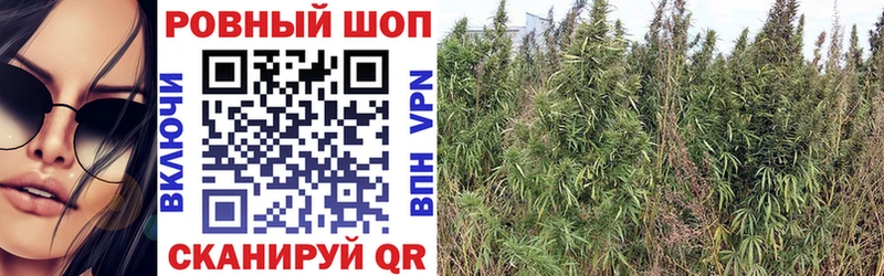 Наркошоп Тюкалинск COCAIN  ГАШИШ  СОЛЬ  МАРИХУАНА 