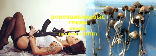 бутират Алзамай
