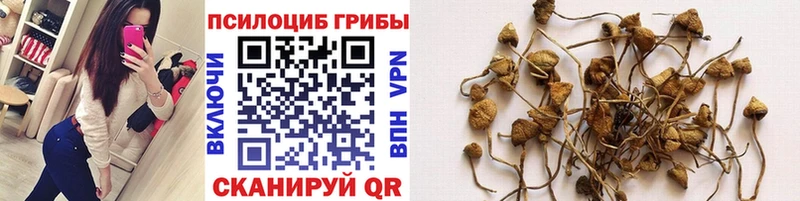 магазин  наркотиков  Тюкалинск  Галлюциногенные грибы GOLDEN TEACHER 